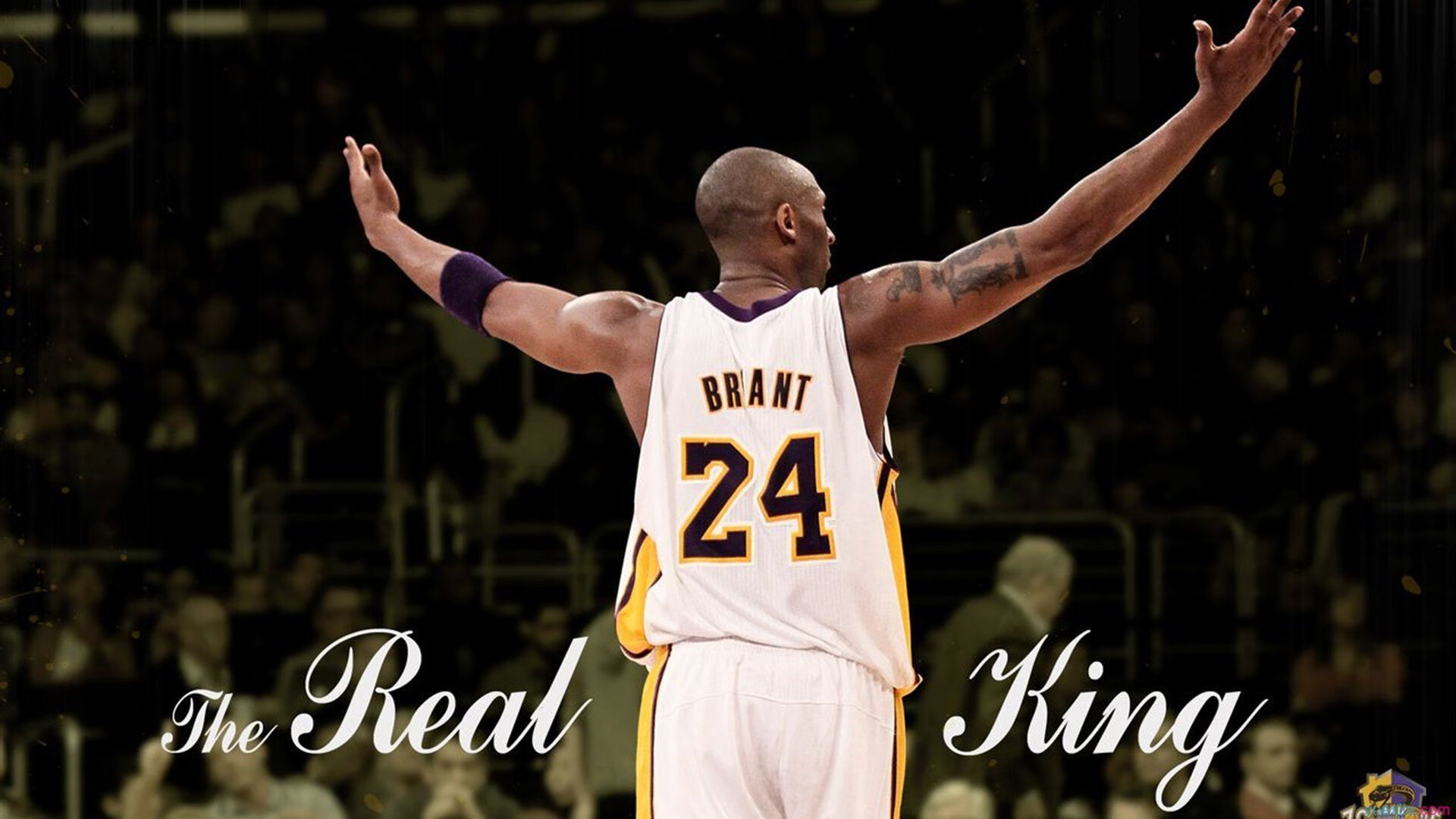 【夺冠秘诀】世界冠军谈比赛中最重要的策略，世界冠军是如何炼成的